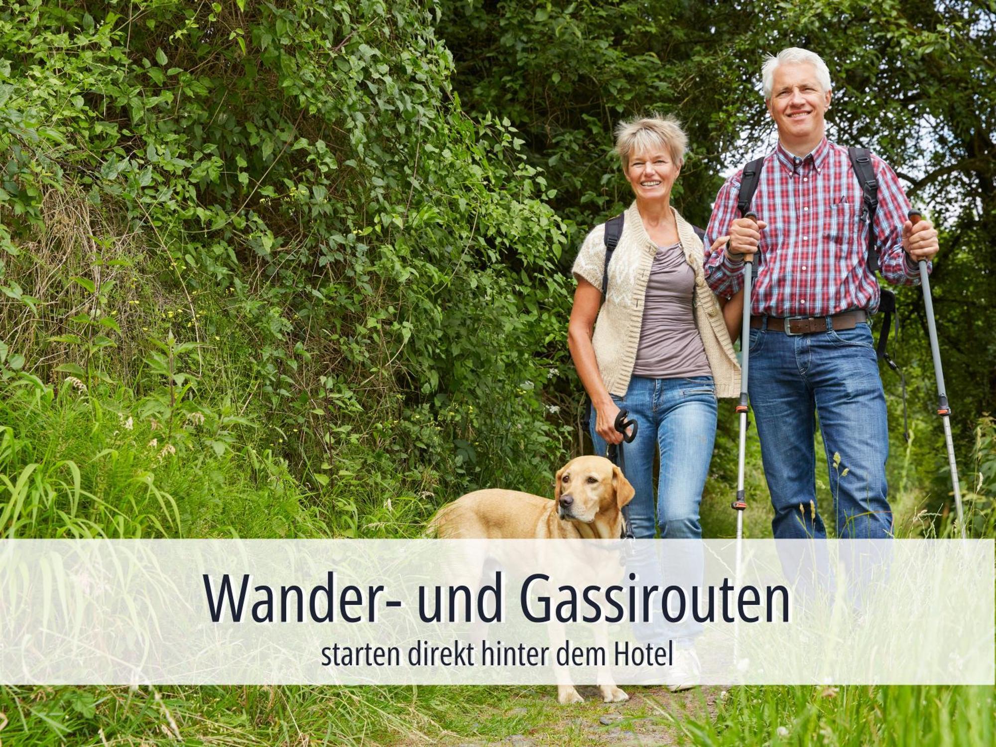 Hotel Am Kurhaus Mit Erstem Ayurveda Center Sachsens - Direkt Am Gesundheitsbad Actinon & Kurpark Bad Schlema Extérieur photo